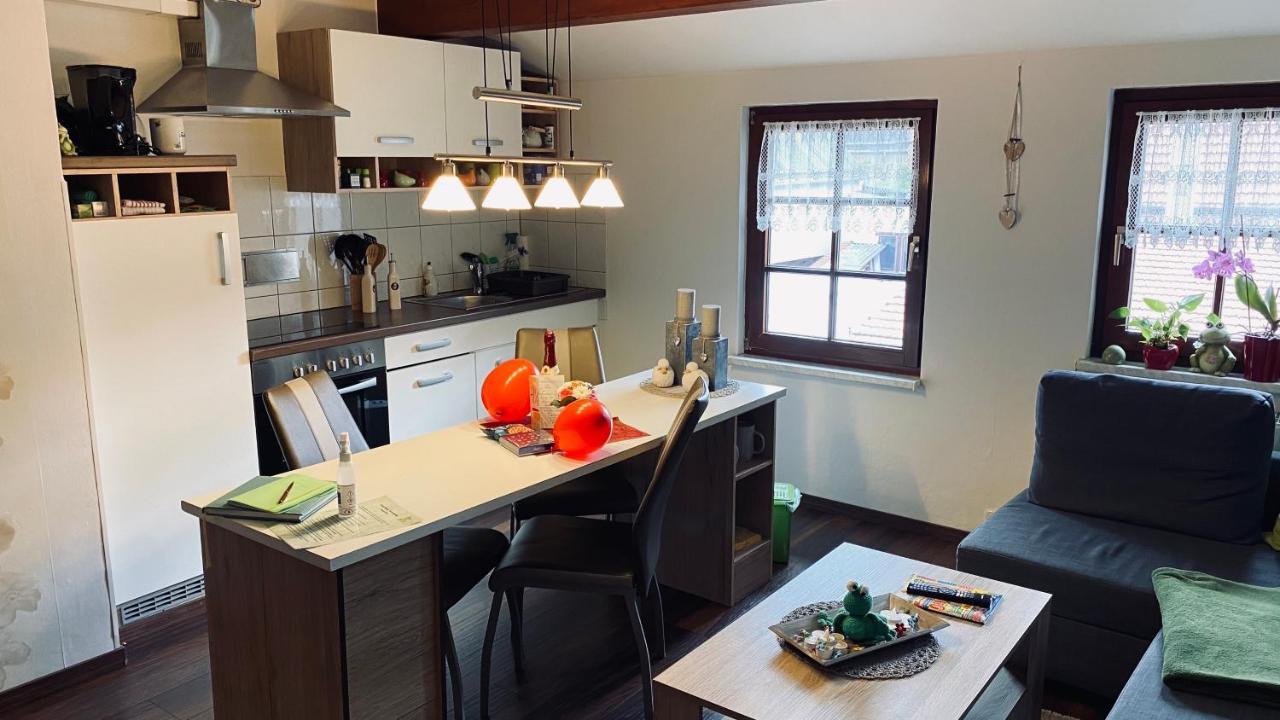 Apartament Froeschlein 2 - No Gitters & Craftsman Ilmenau Zewnętrze zdjęcie